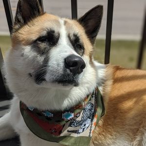 Meet your Posher, Emmanuel